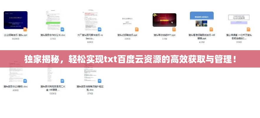 独家揭秘，轻松实现txt百度云资源的高效获取与管理！