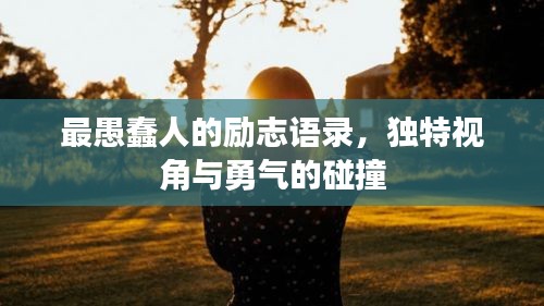 最愚蠢人的励志语录，独特视角与勇气的碰撞