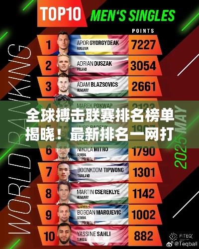 全球搏击联赛排名榜单揭晓！最新排名一网打尽！