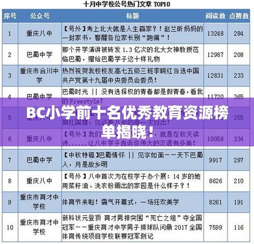 BC小学前十名优秀教育资源榜单揭晓！