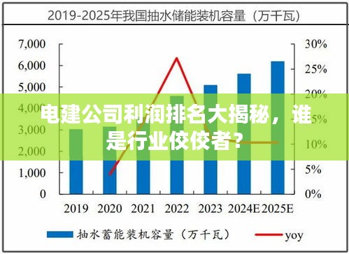 电建公司利润排名大揭秘，谁是行业佼佼者？