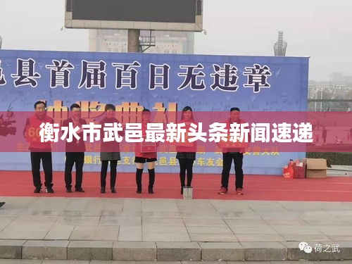 衡水市武邑最新头条新闻速递