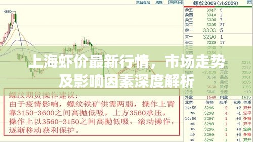 上海虾价最新行情，市场走势及影响因素深度解析