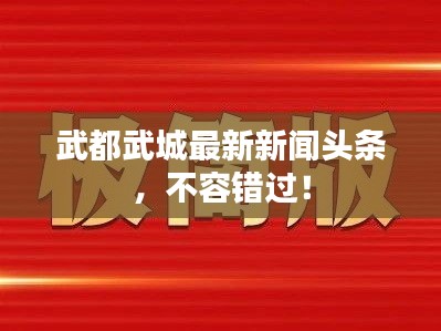 武都武城最新新闻头条，不容错过！