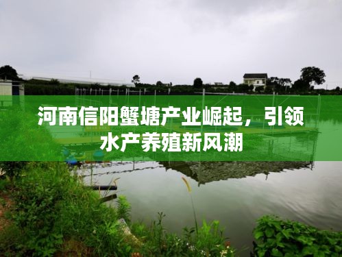 河南信阳蟹塘产业崛起，引领水产养殖新风潮