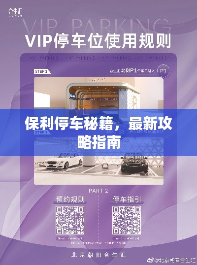 保利停车秘籍，最新攻略指南