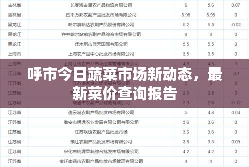 呼市今日蔬菜市场新动态，最新菜价查询报告
