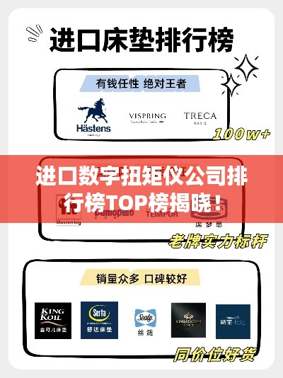 进口数字扭矩仪公司排行榜TOP榜揭晓！