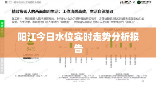 阳江今日水位实时走势分析报告