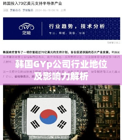 韩国GYp公司行业地位及影响力解析