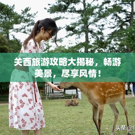 关西旅游攻略大揭秘，畅游美景，尽享风情！