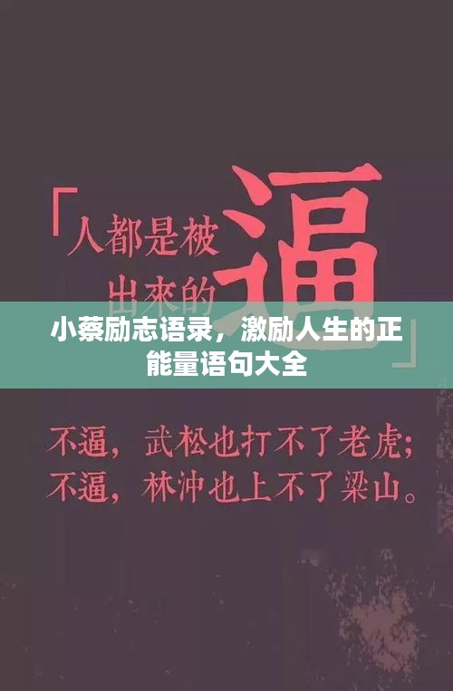 小蔡励志语录，激励人生的正能量语句大全
