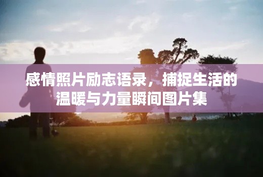 感情照片励志语录，捕捉生活的温暖与力量瞬间图片集