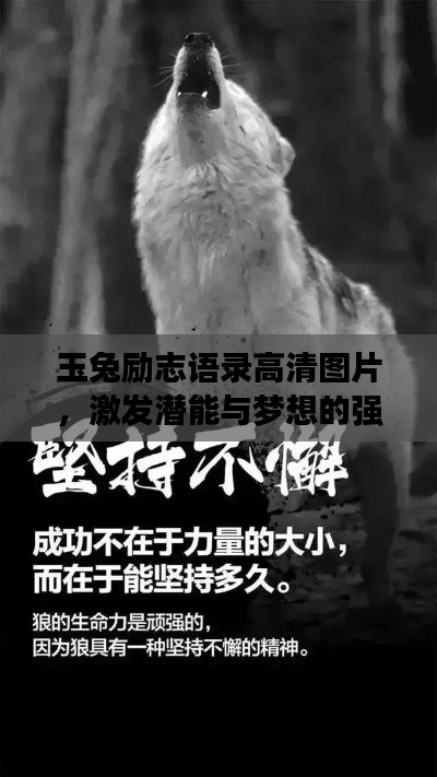 玉兔励志语录高清图片，激发潜能与梦想的强大力量