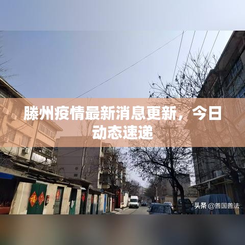 滕州疫情最新消息更新，今日动态速递