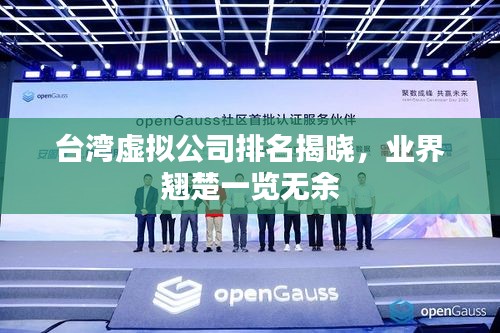 台湾虚拟公司排名揭晓，业界翘楚一览无余