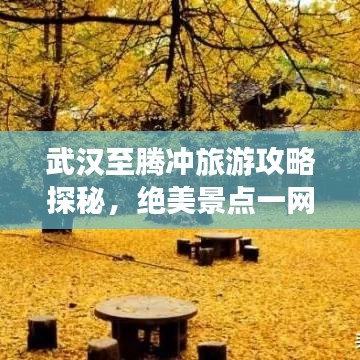 朝乾夕惕