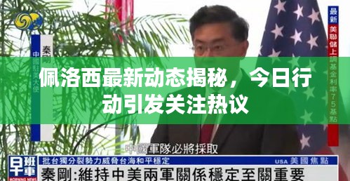 佩洛西最新动态揭秘，今日行动引发关注热议