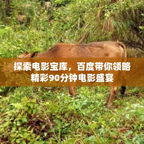 探索电影宝库，百度带你领略精彩90分钟电影盛宴