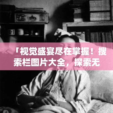 「视觉盛宴尽在掌握！搜索栏图片大全，探索无限可能」