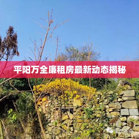 平阳万全廉租房最新动态揭秘