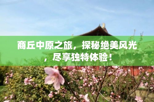 商丘中原之旅，探秘绝美风光，尽享独特体验！