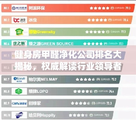 健身房甲醛净化公司排名大揭秘，权威解读行业领导者
