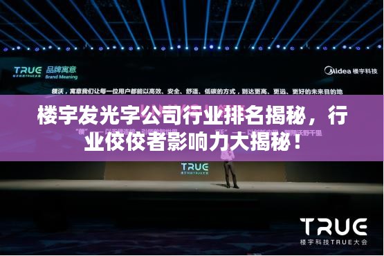 楼宇发光字公司行业排名揭秘，行业佼佼者影响力大揭秘！