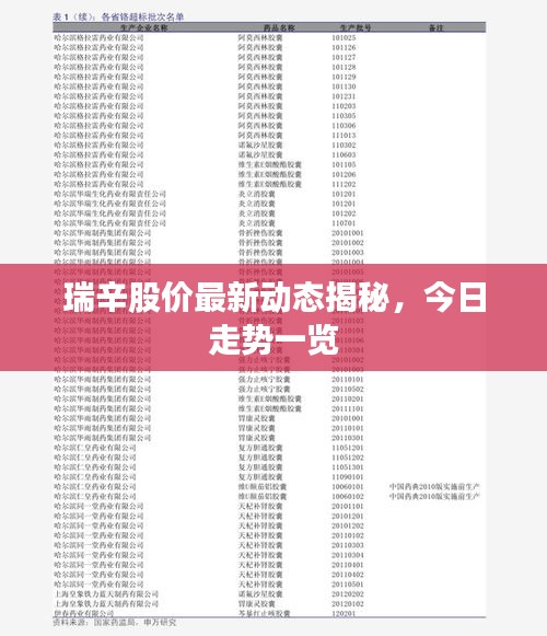 瑞辛股价最新动态揭秘，今日走势一览