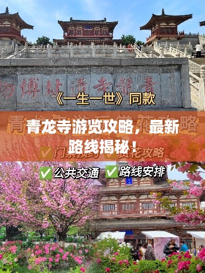 青龙寺游览攻略，最新路线揭秘！