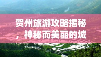 贺州旅游攻略揭秘，神秘而美丽的城市地图探索之旅