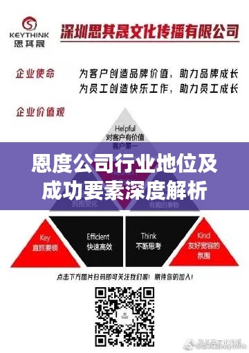恩度公司行业地位及成功要素深度解析