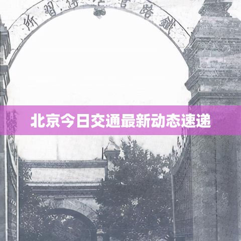 还淳反朴