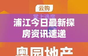 浦江今日最新探房资讯速递