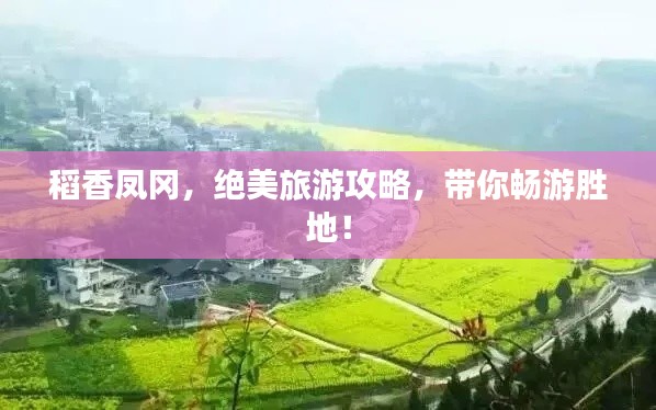 稻香凤冈，绝美旅游攻略，带你畅游胜地！
