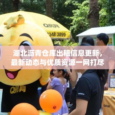 湖北沥青仓库出租信息更新，最新动态与优质资源一网打尽