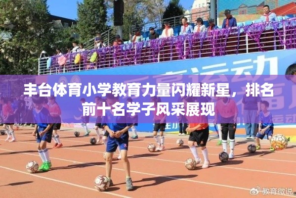 丰台体育小学教育力量闪耀新星，排名前十名学子风采展现