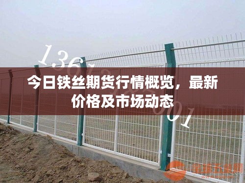 今日铁丝期货行情概览，最新价格及市场动态