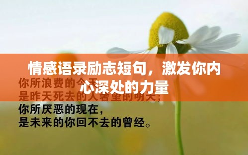 笔走如飞