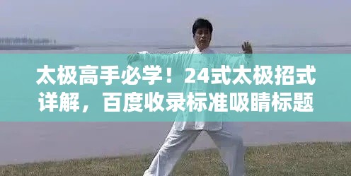 太极高手必学！24式太极招式详解，百度收录标准吸睛标题！