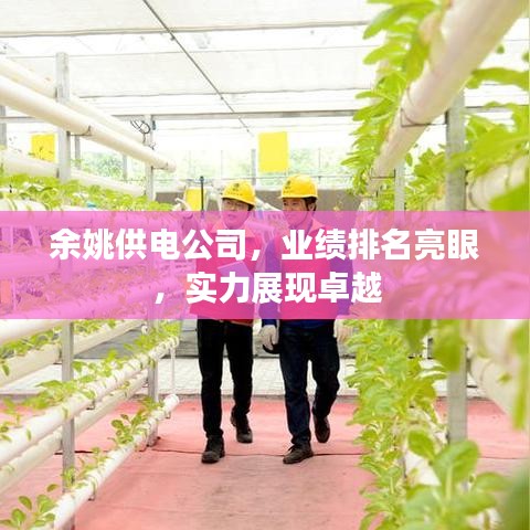 余姚供电公司，业绩排名亮眼，实力展现卓越