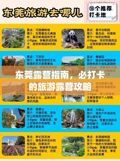 东莞露营指南，必打卡的旅游露营攻略
