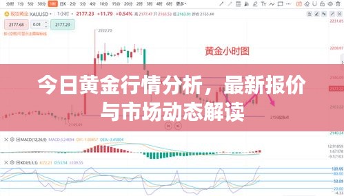 今日黄金行情分析，最新报价与市场动态解读