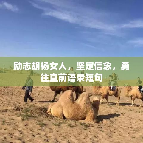 励志胡杨女人，坚定信念，勇往直前语录短句