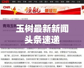 玉树最新新闻头条速递