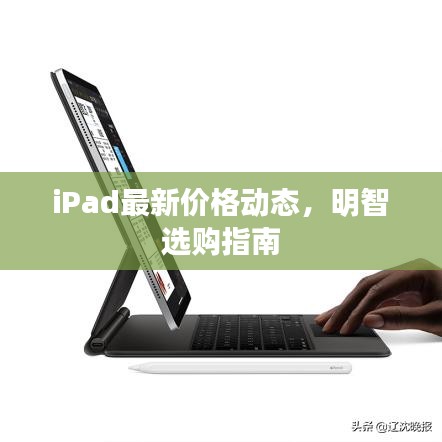 体育 第19页