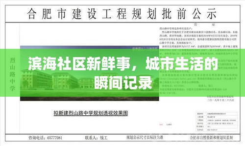 滨海社区新鲜事，城市生活的瞬间记录