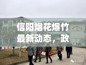 信阳烟花爆竹最新动态，政策调整与市场展望，2025展望