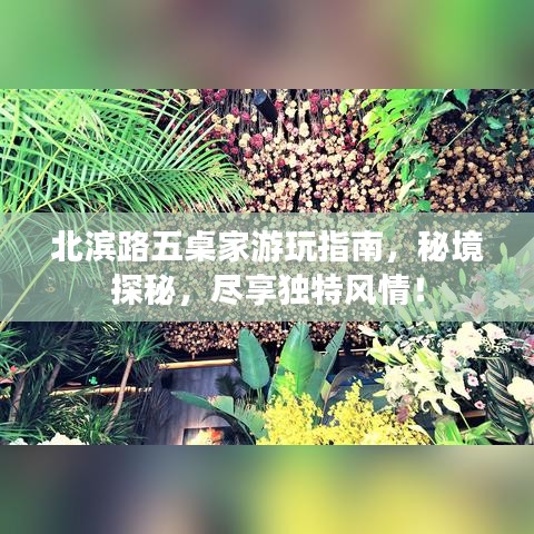 北滨路五桌家游玩指南，秘境探秘，尽享独特风情！