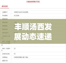 丰顺汤西发展动态速递，地方新闻头条更新